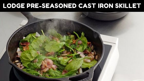 Lodge Pre-Seasoned Cast Iron Skillet