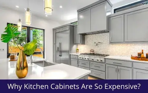 Kitchen Cabinets Are So Expensive, Why Cabinets So Expensive