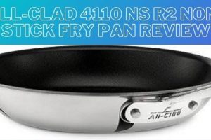 All-Clad 4110 NS R2 Non-Stick Fry Pan Review – An Ultimate Guide