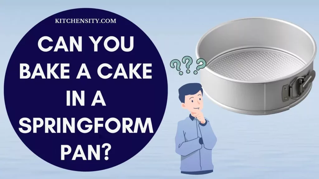 Can You Bake A Cake In A Springform Pan
