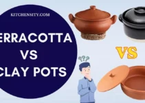 11 Differences Between Terracotta And Clay Pots For Cooking