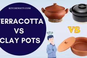 11 Differences Between Terracotta And Clay Pots For Cooking