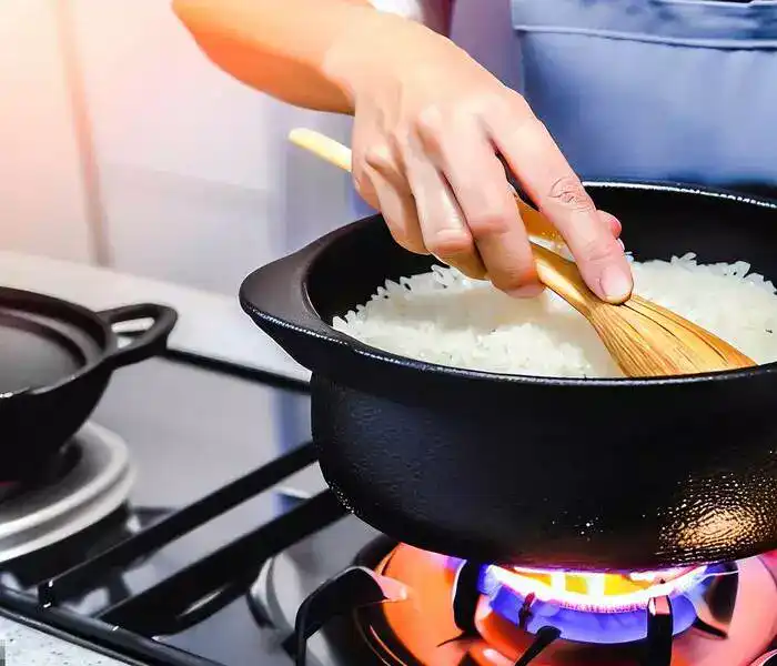 Donabe Clay Rice Cooker For Cooking