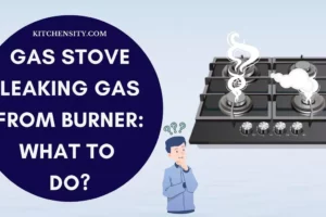 Gas Stove Leaking Gas From Burner: Causes, Risks & Solutions