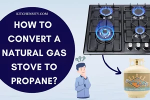 How To Convert A Natural Gas Stove To Propane In 6 Easy Steps?