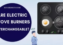 Are Electric Stove Burners Interchangeable? Know The Truth