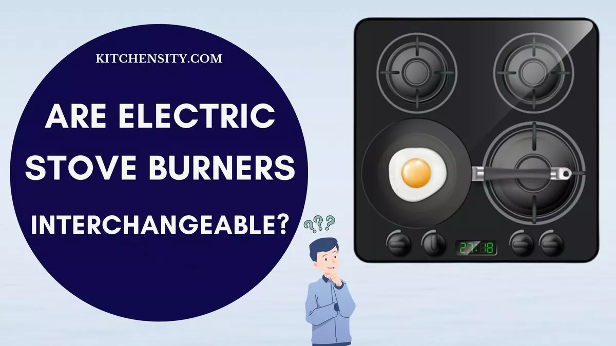 Are Electric Stove Burners Interchangeable? Know The Truth