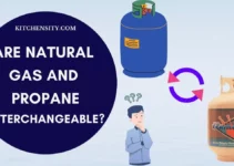 Are Natural Gas And Propane Interchangeable? If Possible, Then How?