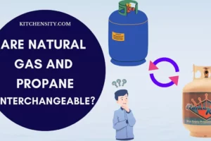 Are Natural Gas And Propane Interchangeable? Is It Possible?