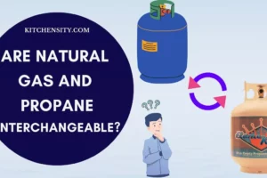Are Natural Gas And Propane Interchangeable? If Possible, Then How?