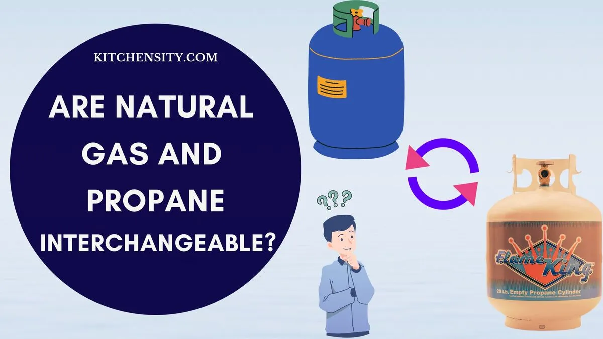 Are Natural Gas And Propane Interchangeable? Is It Possible?