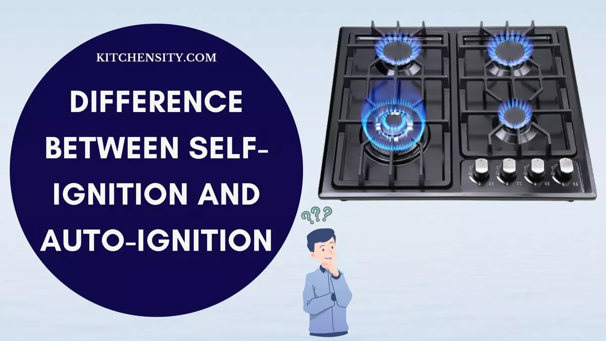 Difference Between SelfIgnition And AutoIgnition An Ultimate Guide